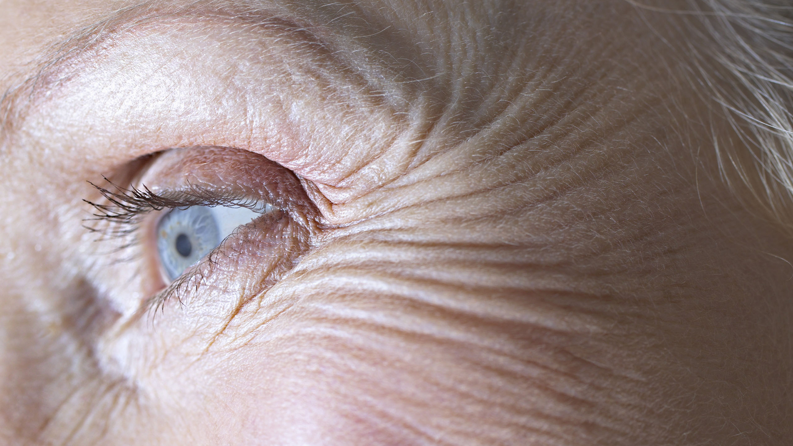 Full-Frame Close-Up of a Senior Woman&#039;s Eye