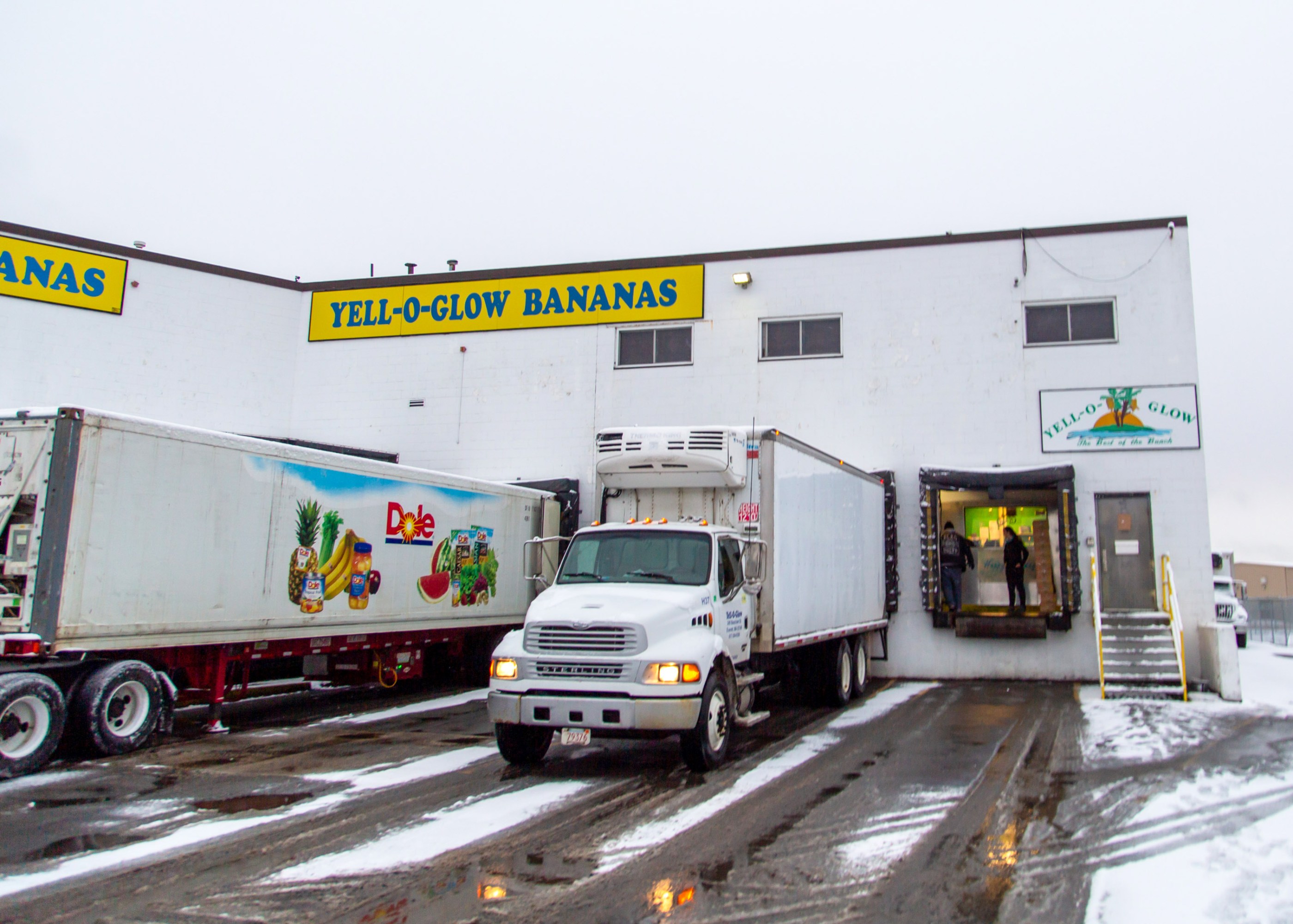 loading dock of Yello Glo Bananas with two semi trucks