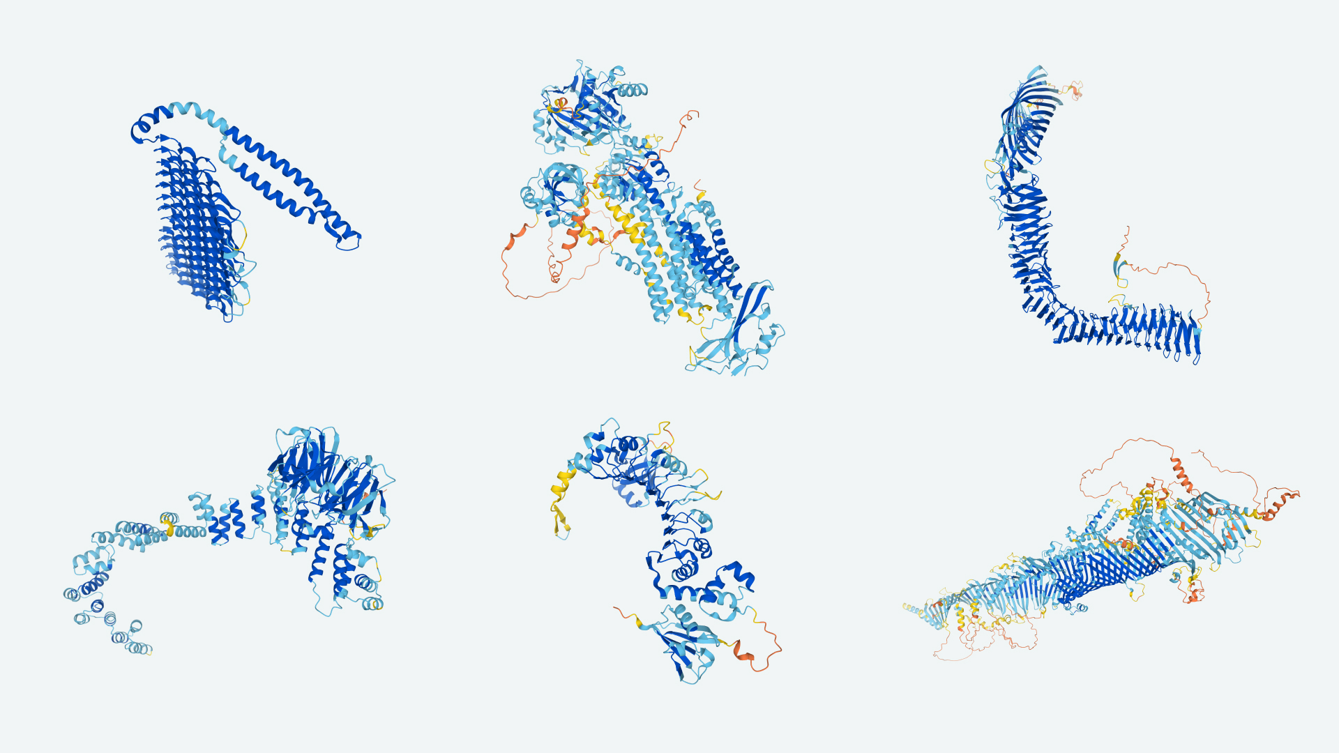 protein structures