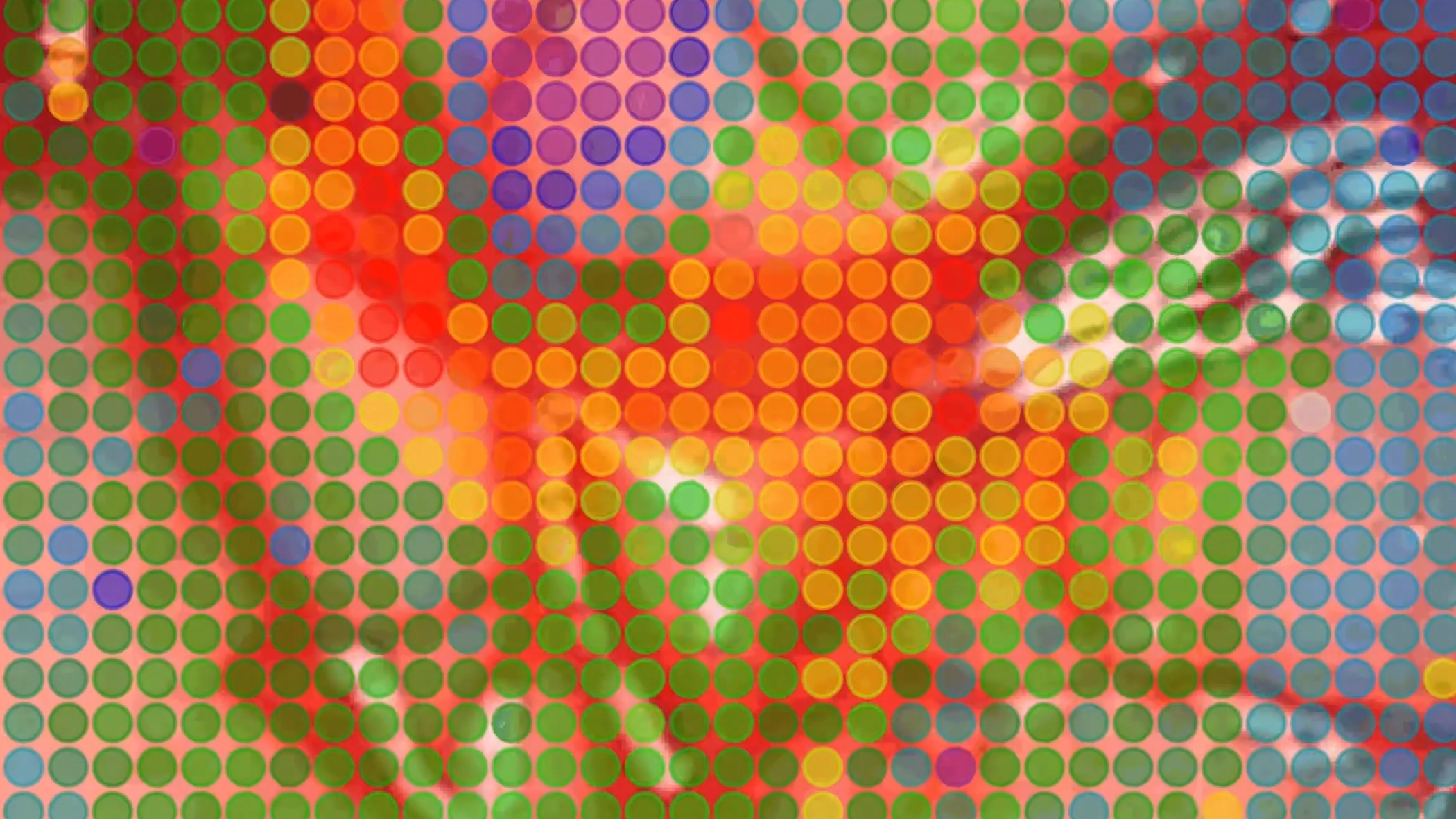 still frame from in vivo data received by implant in a mini pig, showing circles covering the frame, color-coded to correspond with the nature and location of sensory contact.