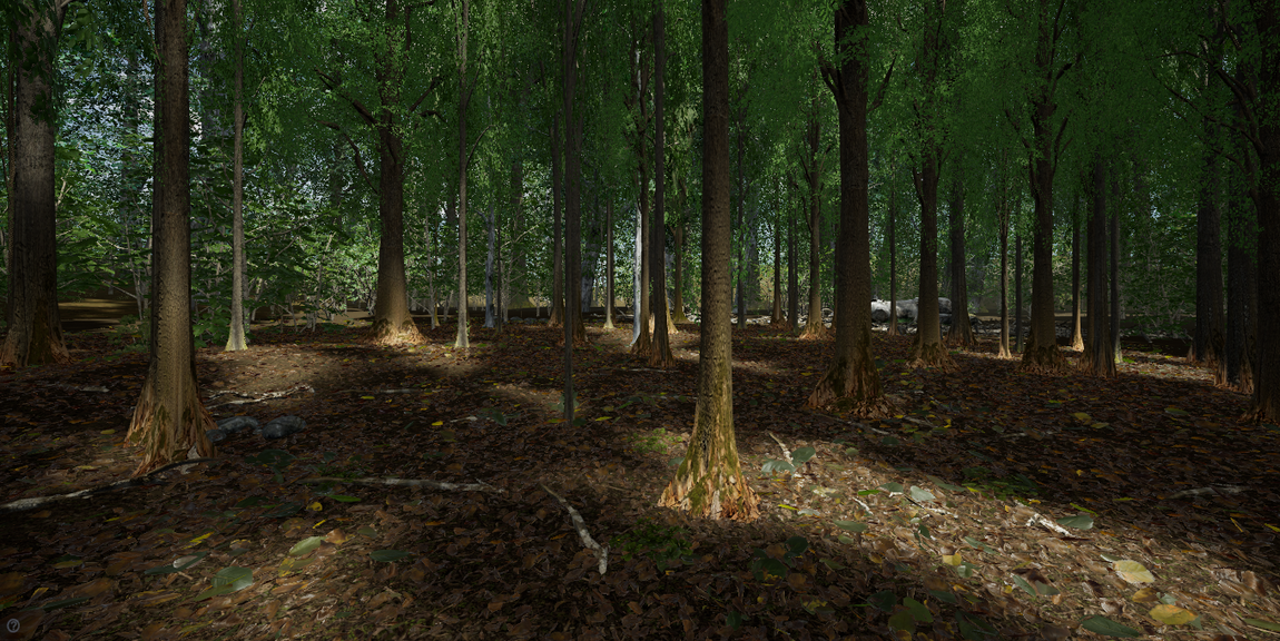 low lit image of forest